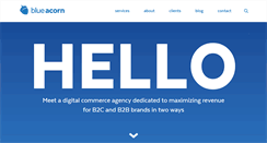 Desktop Screenshot of blueacorn.com